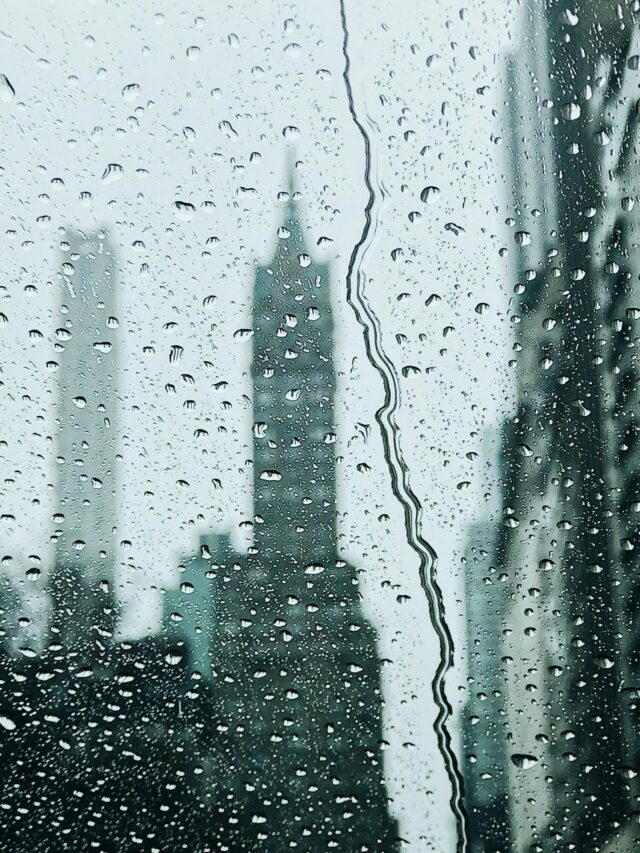 Stories Stories